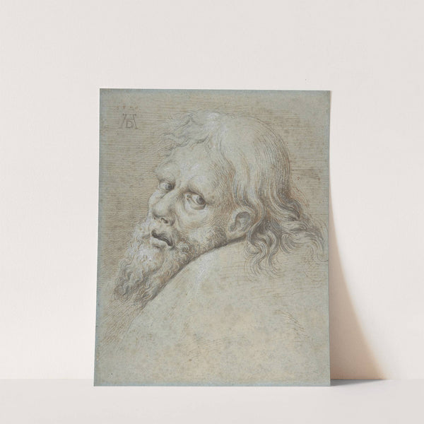 Head of a Bearded Man by Hans Hoffmann