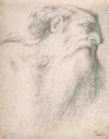 Head of a Bearded Man