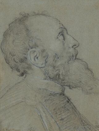 Head of a Bearded Man — size preview