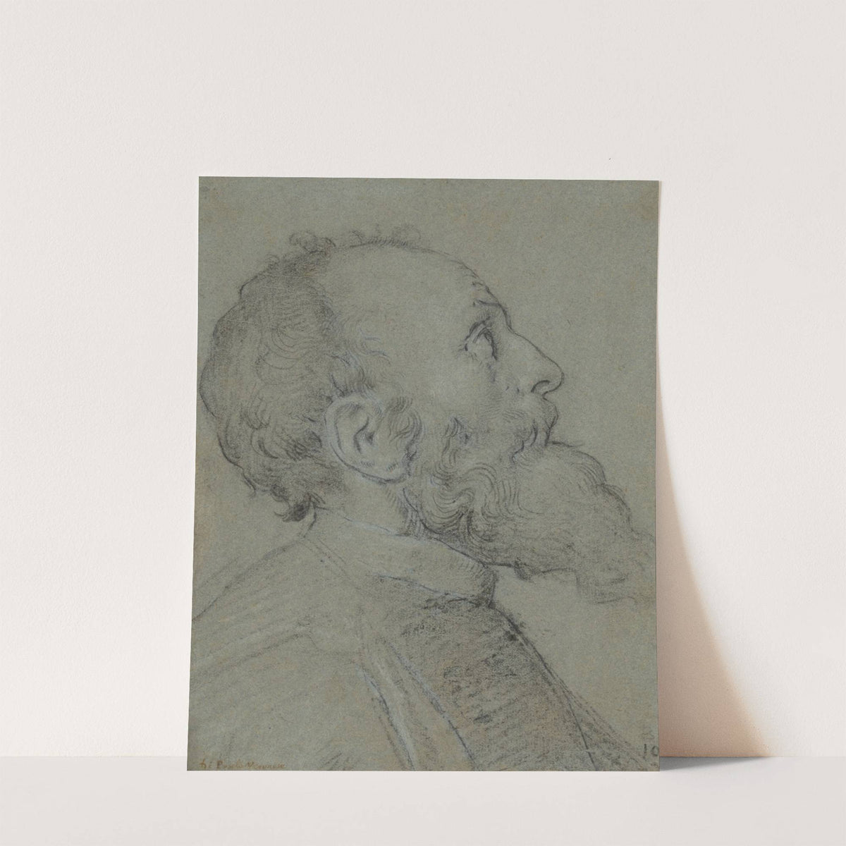 Head of a Bearded Man by School of Paolo Veronese