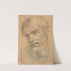Head of a Bearded Man by Giovanni Antonio Sogliani
