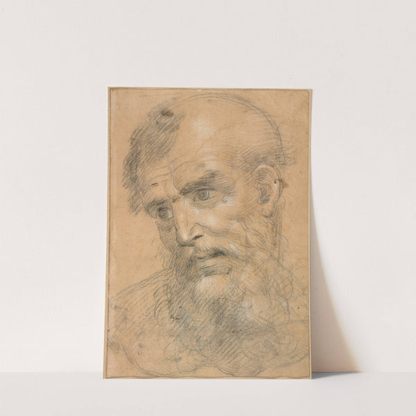 Head of a Bearded Man by Giovanni Antonio Sogliani