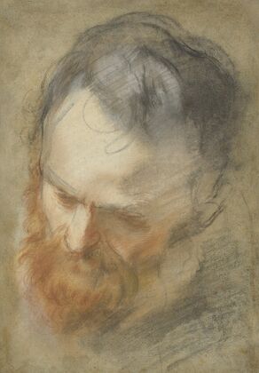 Head of a Bearded Man