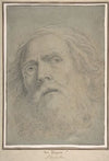 Head of a Bearded Man