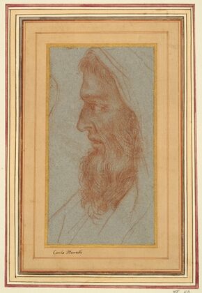 Head of a Bearded Man in Profile