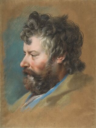 Head of a Bearded Man in Profile to Left