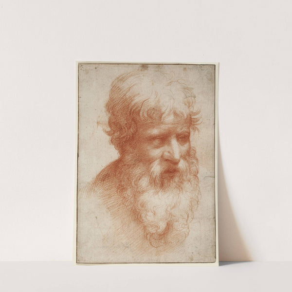 Head of a Bearded Man, looking right by Parmigianino