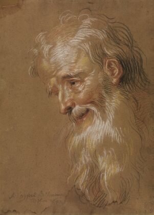 Head of a bearded old man