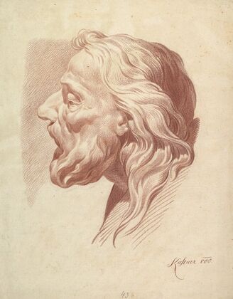 Head of a Bearded Old Man in Profile to the Right