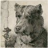 Head of a chained dog