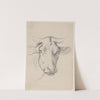 Head of a cow by Jakob Becker