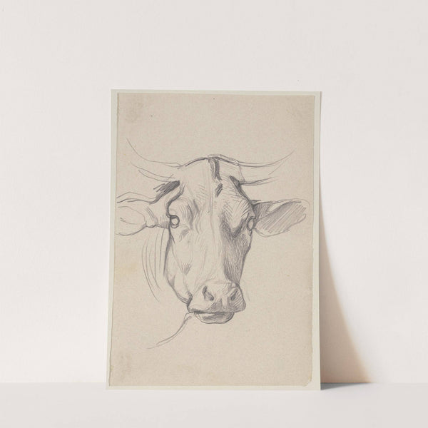 Head of a cow by Jakob Becker