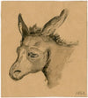 Head of a donkey