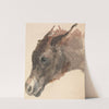 Head of a Donkey by George Jones
