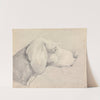Head of a Foxhound, in Profile Right by Henry Thomas Alken