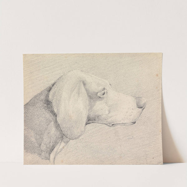 Head of a Foxhound, in Profile Right by Henry Thomas Alken