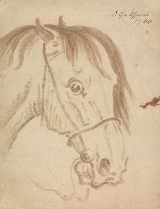 Head of a Horse