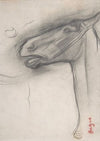 Head of a Horse
