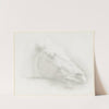 Head of a Horse from the Parthenon (1898) by Alphonse Legros
