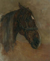 Head of a horse, with halter