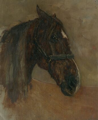 Head of a horse, with halter
