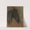 Head of a horse, with halter by Floris Verster