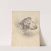 Head of a Hound by George Morland