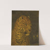 Head of a leopard by Jacques-Laurent Agasse