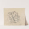 Head of a Lion. by Sawrey Gilpin