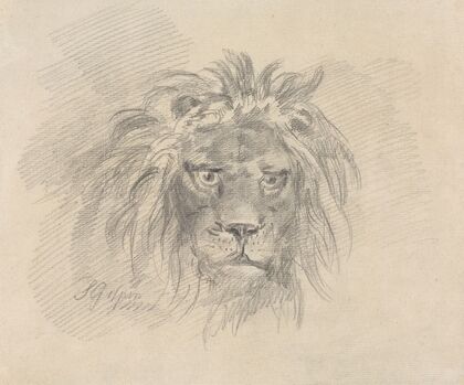 Head of a Lion