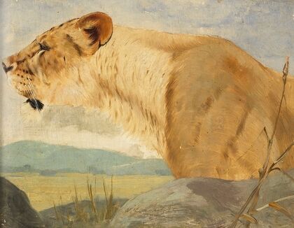 Head of a Lioness (1891)