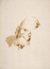 Head of a Man Wearing a High Collar