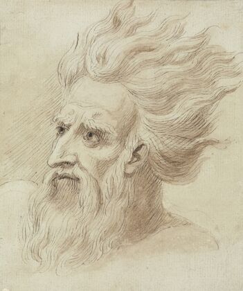 Head of a Man with a Beard and Long Hair in the Wind — size preview