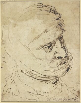 Head of a Man with cloth Headdress