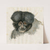 Head of a monkey (1873) by Floris Verster