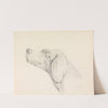 Head of a Pointer, in Profile Left by Henry Thomas Alken