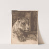 Head of a reclining lioness by Joseph Schippers
