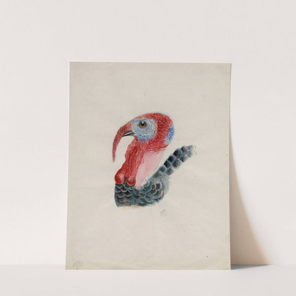 Head of a turkey (1873) by Floris Verster