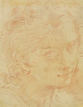 Head Of A Young Man — size preview