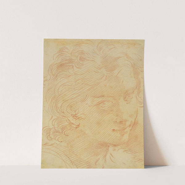 Head Of A Young Man by Circle of Gaetano Gandolfi