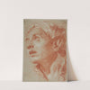 Head of a Young Man in Three-Quarter View (18th century) by Giovanni Battista Tiepolo
