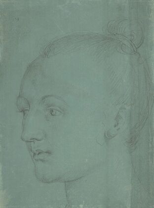 Head of a Young Woman (1522)