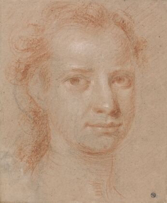 Head of a Young Woman or Man