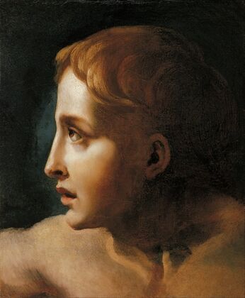 Head of a Youth