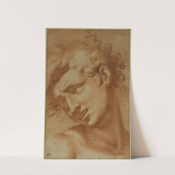 Head of a Youth by Cristoforo Roncalli