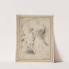 Head of an Old Man in Profile by Camillo Procaccini