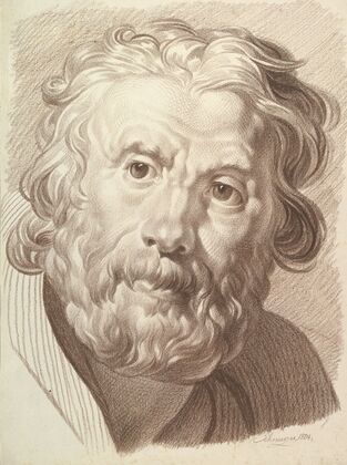 Head of Bearded Old Man (1804)