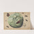 Head of Cabbage with Insects by Anonymous