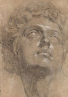 Head of Giuliano de’ Medici, after Michelangelo