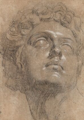 Head of Giuliano de’ Medici, after Michelangelo